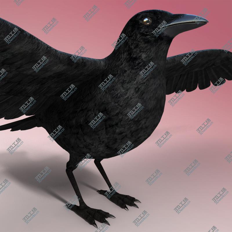 images/goods_img/202104022/Crow - Rigged/4.jpg